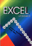 [titul knihy Excel]