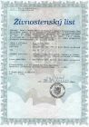 ivnostensk oprvnn k podn vzdlvacch kurz vetn lektorsk innosti